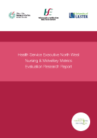 Nursing and Midwifery Metrics Research Evaluation Report image link